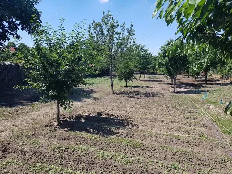 Casă cu 3 camere cu Teren 1845 Mp în Central