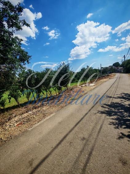 Teren Construcții intravilan de 7694 mp, în Tureni
