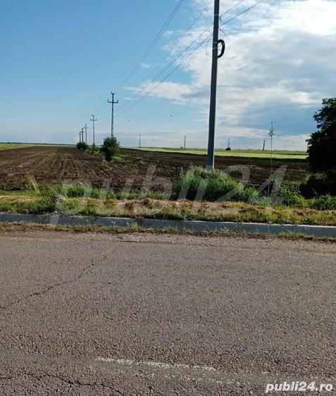 Teren de 10200 mp, în Sârbeni