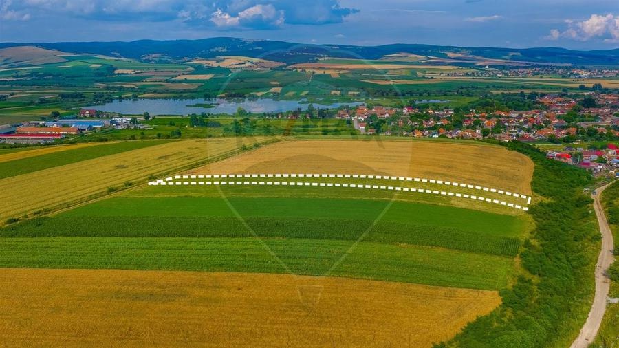 Teren agricol extravilan de 10800 mp, în Rotbav