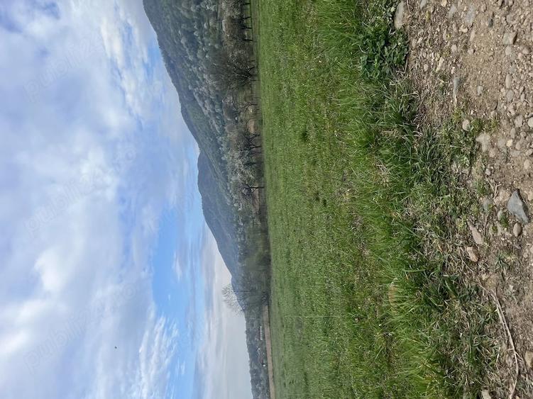 Teren de 5400 mp, în Copalnic