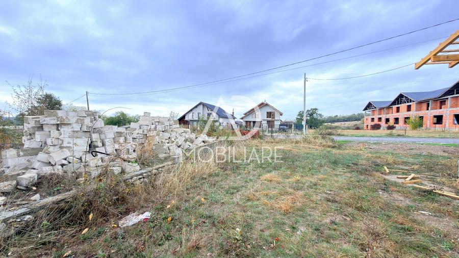 Teren Construcții intravilan de 3695 mp, în Runcu