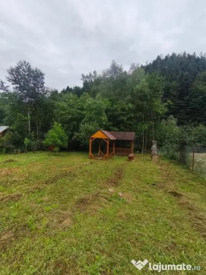 Casă cu 5 camere cu Teren 1250 Mp în Marginea