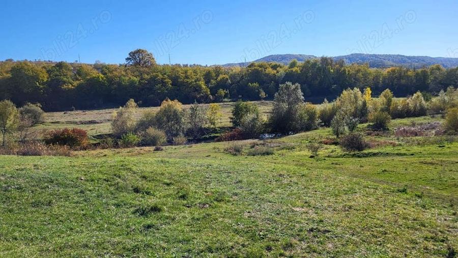 Campulung, terenuri Grui, Flamanda, Valea Romanestilor si Schitu Golesti-proprietar - 7