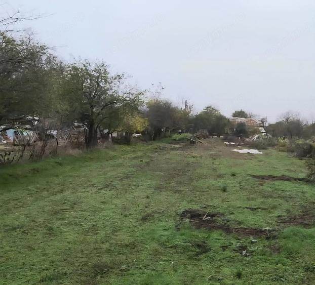 Teren de 3000 mp, în Petrești