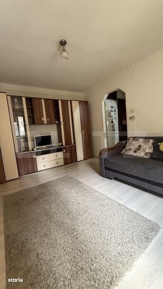 Apartament cu 2 camere semidecomandat în Mureșeni