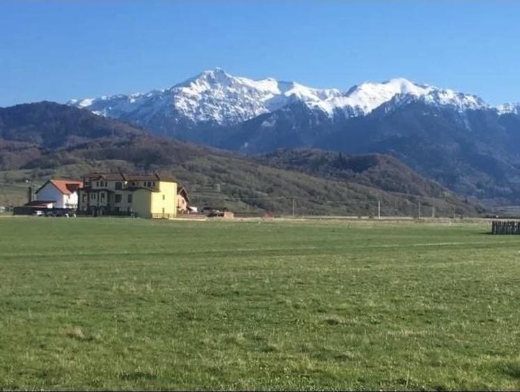 Teren Construcții intravilan de 8850 mp, în Exterior Sud