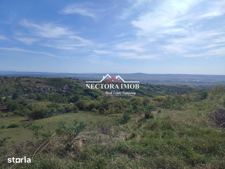 Teren de 2350 mp, în Paleu