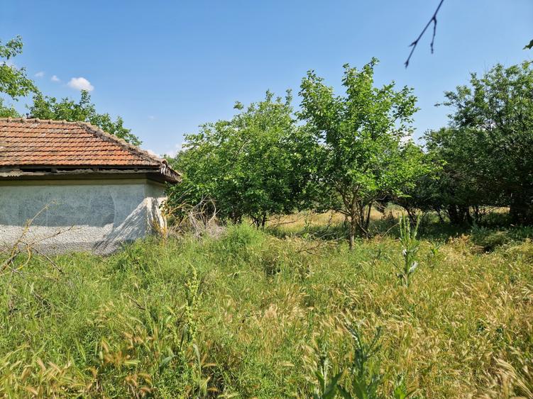 Teren Construcții intravilan de 1479 mp, în Polcești