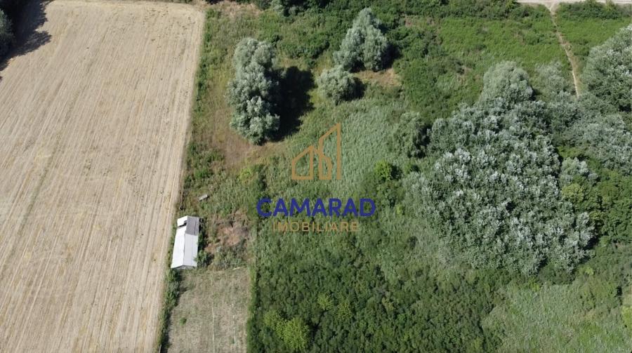 Teren Construcții intravilan de 8000 mp, în Beștepe