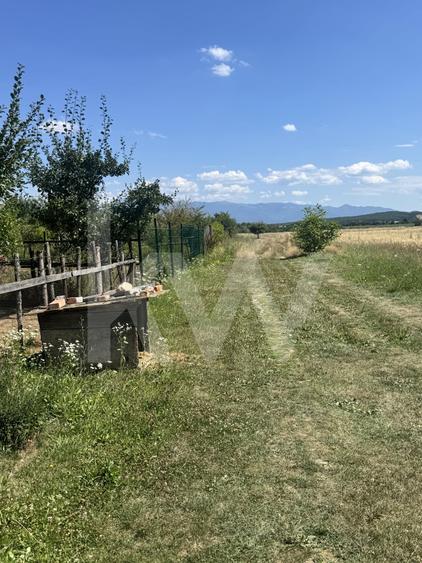 Teren agricol extravilan de 720 mp, în Cisnădie