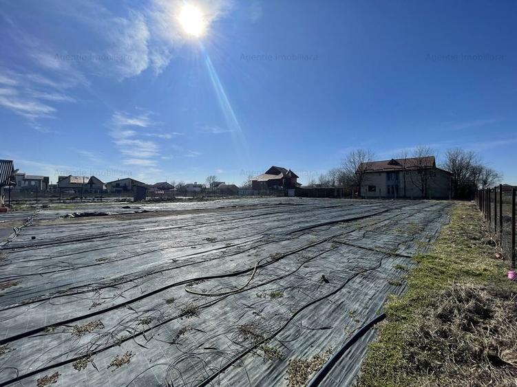 Teren Construcții intravilan de 4493 mp, în Mogoșoaia