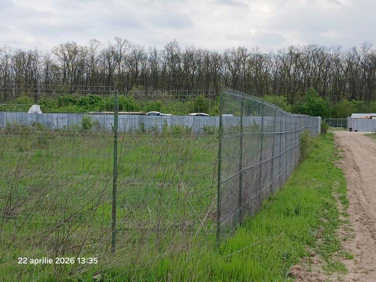 Teren Construcții intravilan de 900 mp, în Cernica