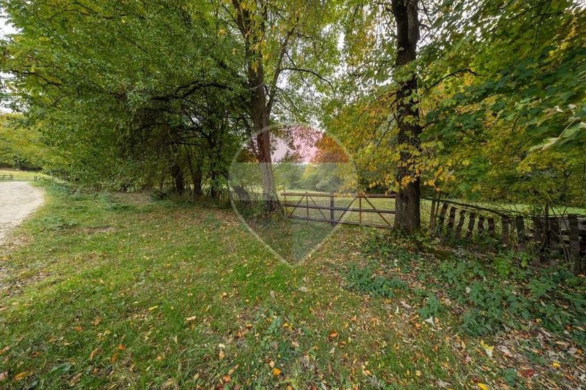 Teren agricol extravilan de 9540 mp, în Teliu