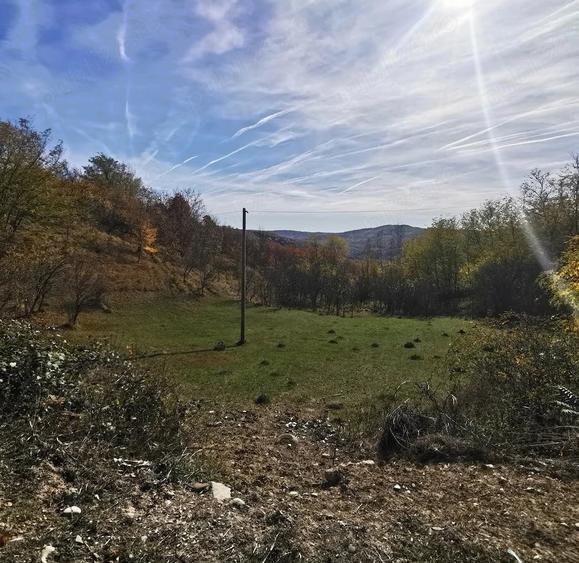 Teren de 2500 mp, în Vitioara de Sus