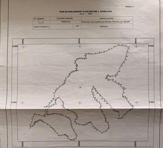 Teren de 32000 mp, în Ceahlău