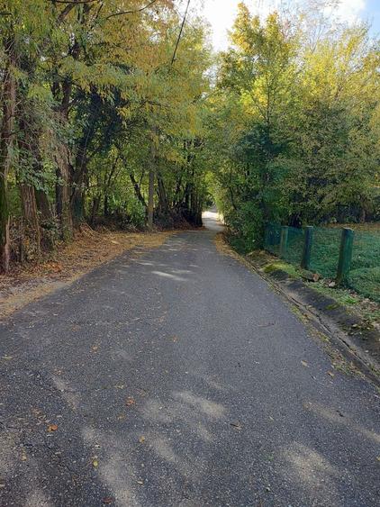 Teren de 10200 mp, în Costești
