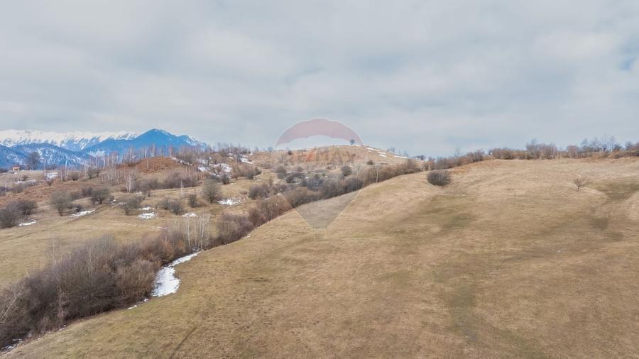 Teren Construcții intravilan de 5602 mp, în Tohanu Nou