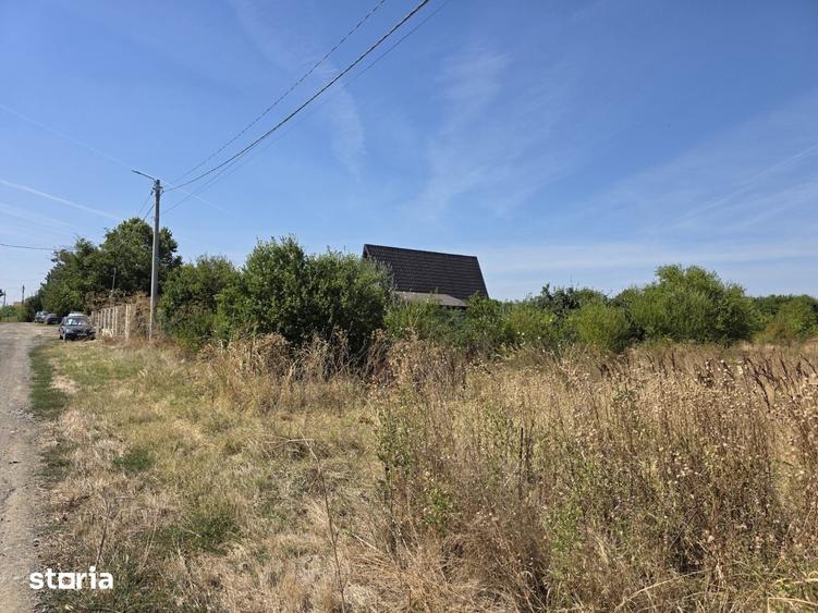 Teren de 1650 mp, în Brănești