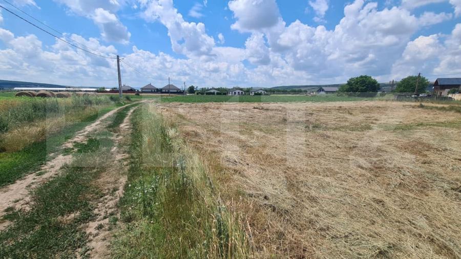 Teren de 3600 mp, în Jucu