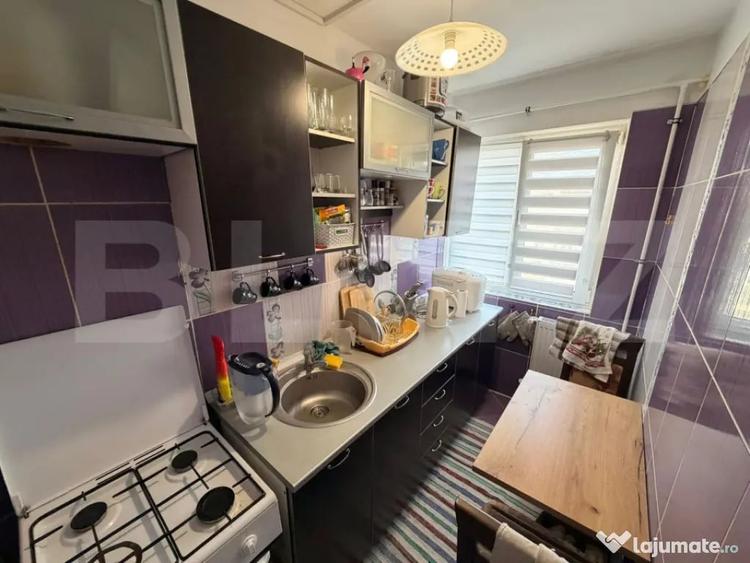 Apartament cu 2 camere semidecomandat în Craiovița Nouă