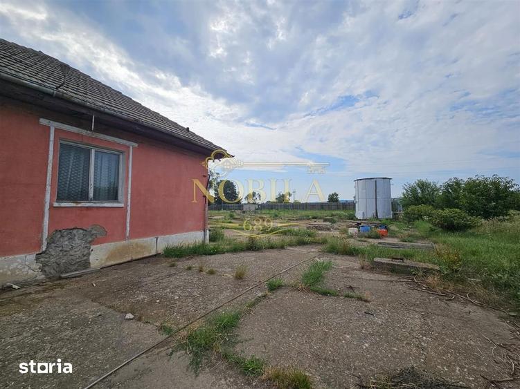 Teren de 10000 mp, în Ștefan cel Mare