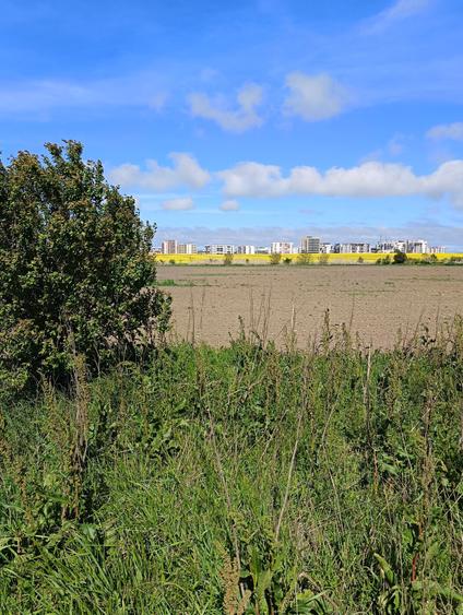Teren agricol extravilan de 25000 mp, în Exterior Vest
