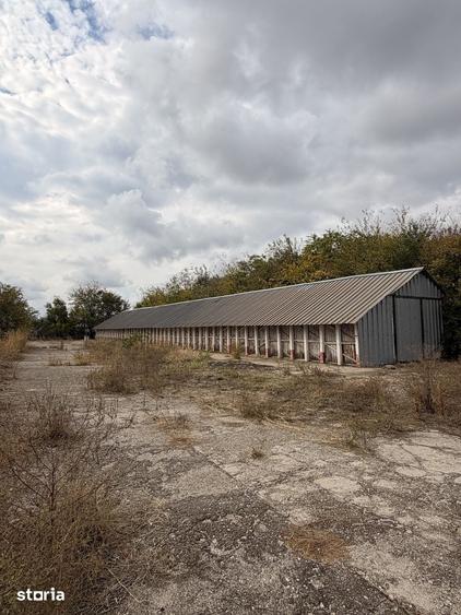 Spațiu comercial, de 48,677 mp, în Crângu