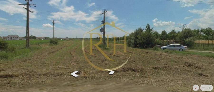 Teren agricol intravilan de 5000 mp, în Bucovăț (Remetea Mare)