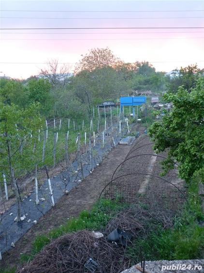 Teren de 2556 mp, în Central