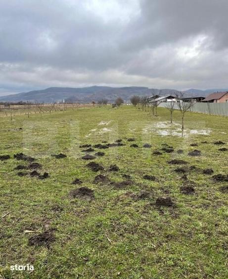 Teren de 5600 mp, în Batoș