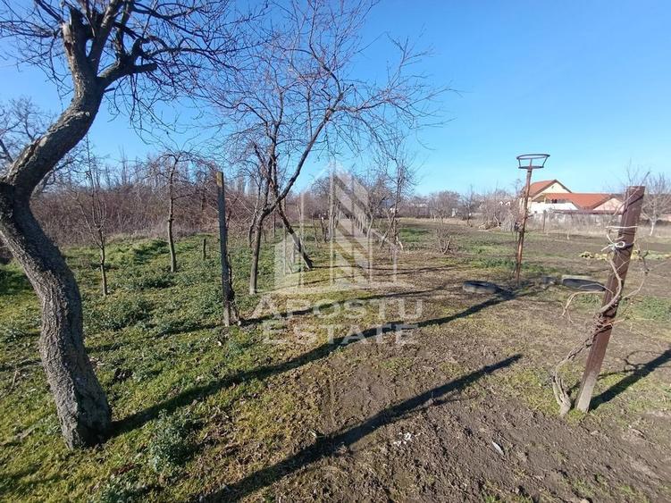 Casa individuala cu teren generos 2158mp, front 12m, liva... - 11