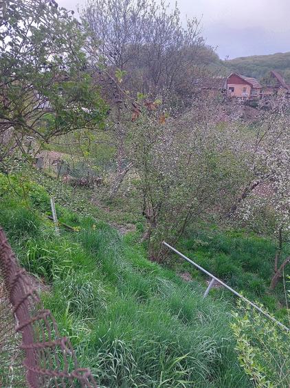 Casă cu Teren 300 Mp în Central