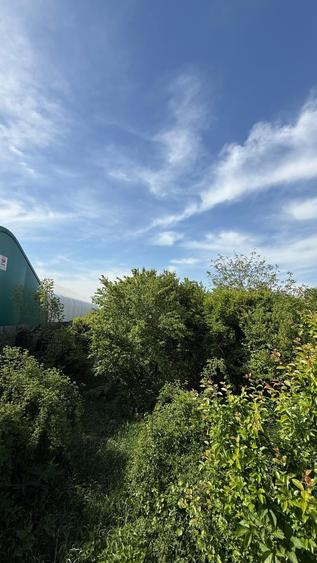 Teren Construcții intravilan de 2527 mp, în Exterior Nord