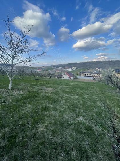Teren de 1000 mp, în Șorogari