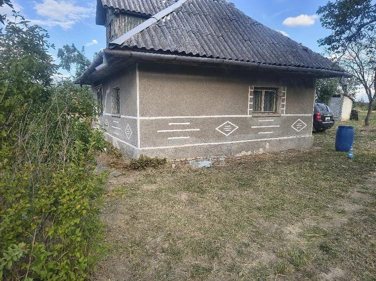 Teren de 6000 mp, în Bocsig