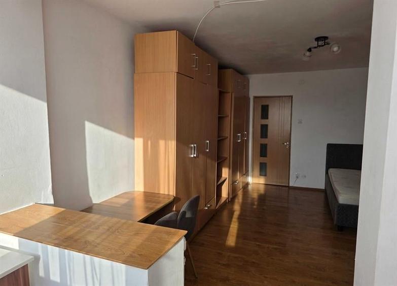 Garsonieră, mobilată în Brazda lui Novac