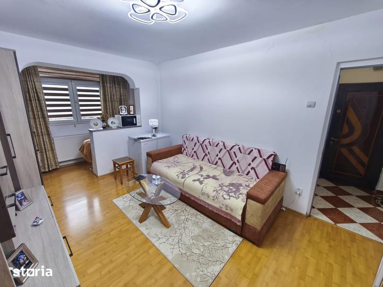 ROANDY - Apartament 2 camere renovat,mobilat si utilat-Malu Rosu - 5