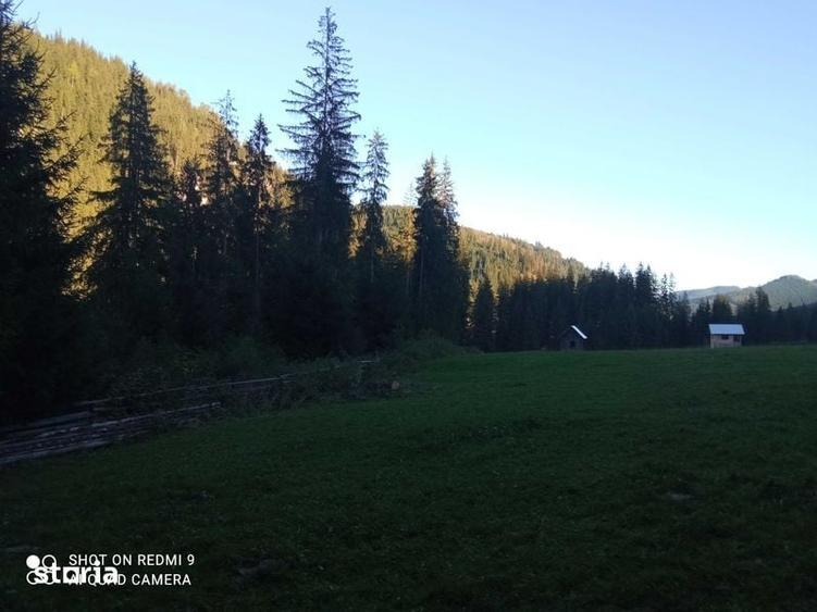 De Vanzare teren in Carlibaba, judetul Suceava - 1