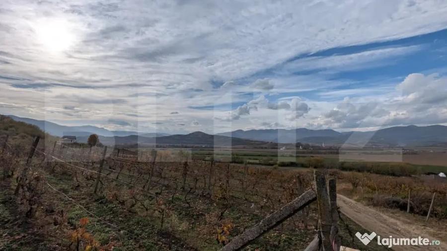 Teren de 2000 mp, în Șard