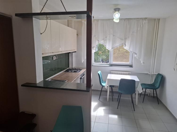 Apartament 2 camere de  inchiriat - LUJERULUI - 7