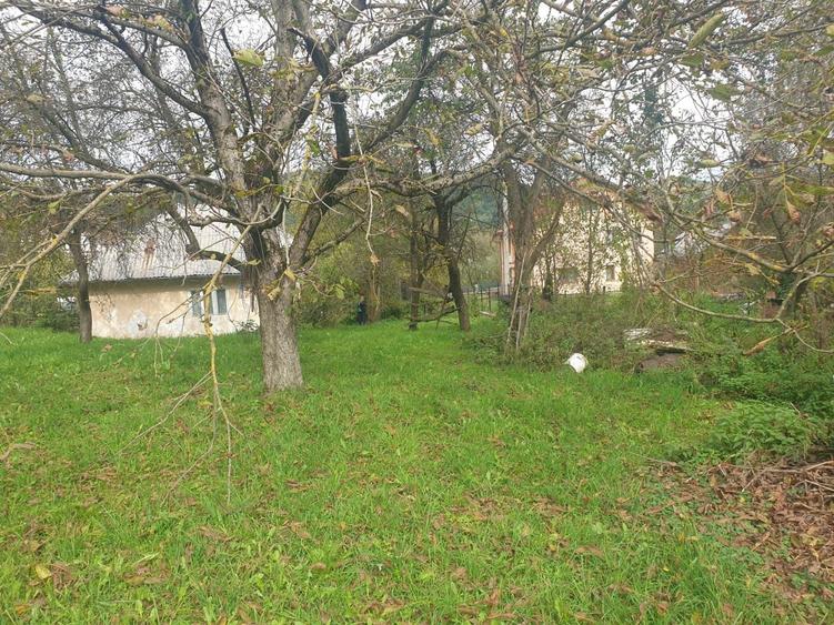 Casă cu 4 camere în Vișeu de Jos