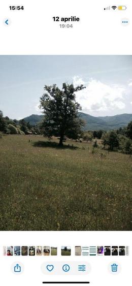 Teren de 720 mp, în Șieu