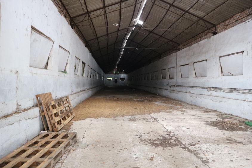 Teren Construcții intravilan de 88.97200012207 mp, în Variaș