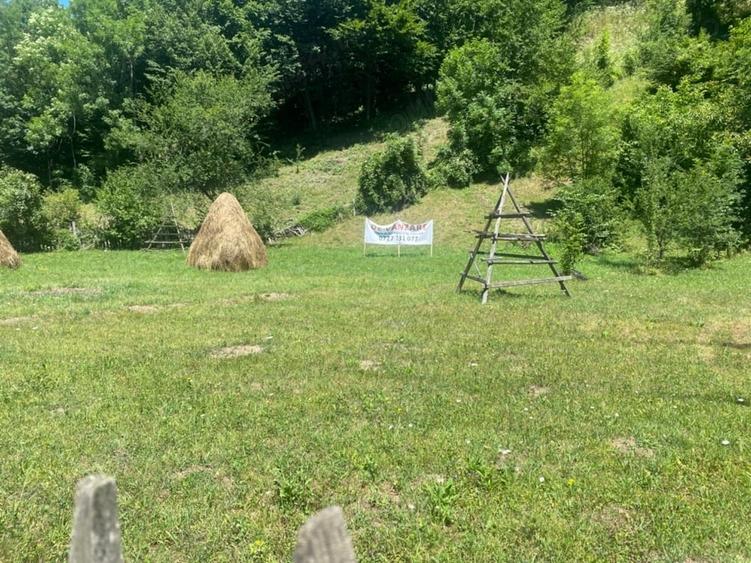 Teren de 2361 mp, în Valea Doftanei