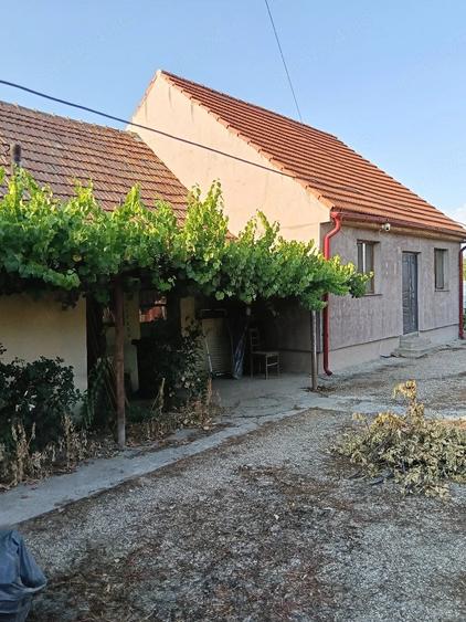 Casă cu 3 camere cu Teren 1500 Mp în Denta