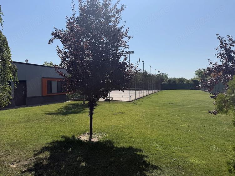 Proprietar inchiriez cladire P+1 birouri, depozit, teren 2.641 mp Timisoara - 6