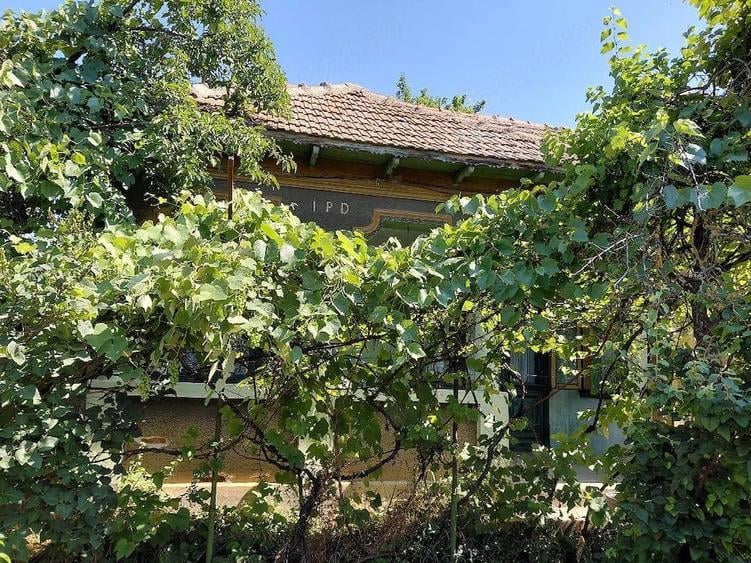 Casă cu 5 camere cu Teren 1100 Mp în Beiu
