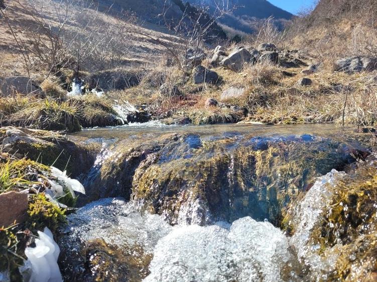 Teren Construcții intravilan de 1271 mp, în Izvoarele (Livezile)