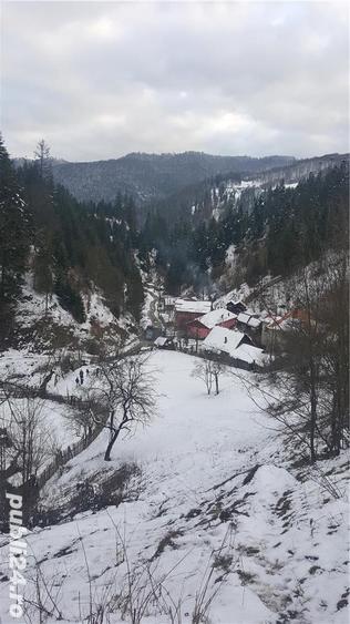 Teren de 5062 mp, în Voineasa